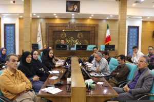 نشست راهبردی مسئولین واحدهای مرکز بهداشت استان
