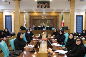 برگزاری جلسه هماهنگی مدیران بهورزی و مسئولین واحد مراقبین سلامت استان