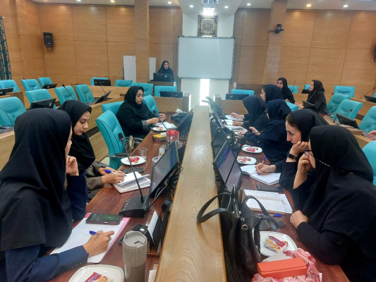 نشست آموزشی و توجیهی کارشناسان سلامت سالمندان
