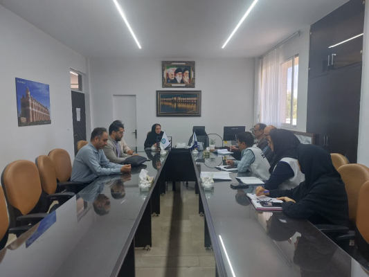 بررسی روند اجرای پزشکی خانواده و نظام ارجاع الکترونیک