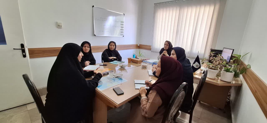 برگزاری جلسه هم‌اندیشی برنامه تعیین‌کننده‌های اجتماعی سلامت (SDH)
