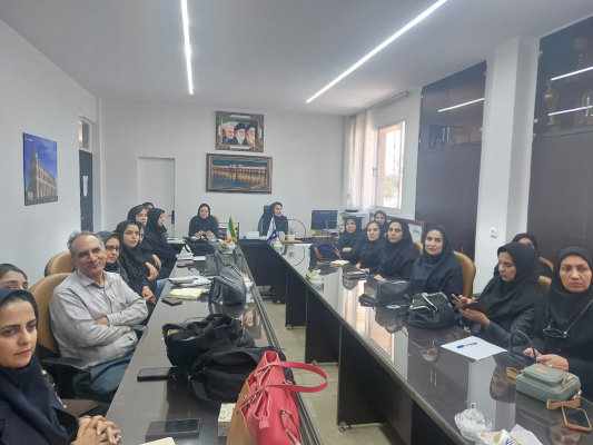 جلسه آموزشی توانمندسازی برای پرسنل واحد روان و بهداشت محیط  در حوزه پزشکی خانواده و نظام ارجاع در شهرستان فلاورجان