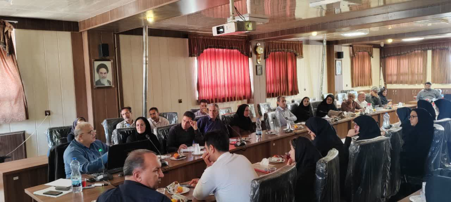 بازدید معاون فنی و کارشناسان معاونت بهداشت از شبکه بهداشت و درمان دهاقان
