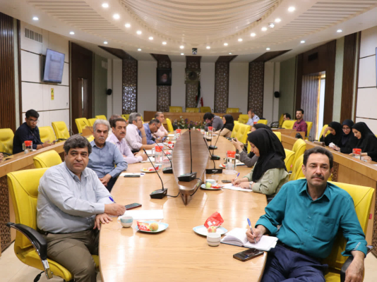 ارتقای سطح دانش مدیریت پسماند؛ برگزاری کارگاه تخصصی برای مسئولین واحدهای مهندسی بهداشت محیط استان