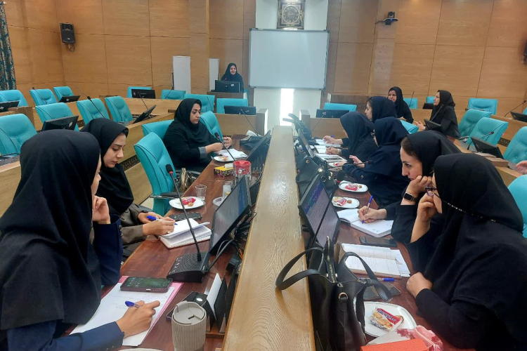 نشست آموزشی و توجیهی کارشناسان سلامت سالمندان