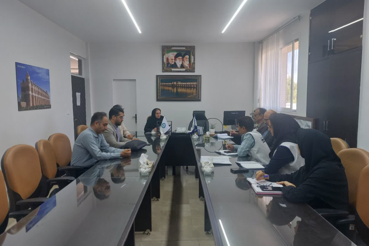 بررسی روند اجرای پزشکی خانواده و نظام ارجاع الکترونیک