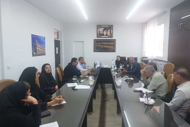 نشست مشترک شبکه بهداشت فلاورجان و سازمان بیمه سلامت