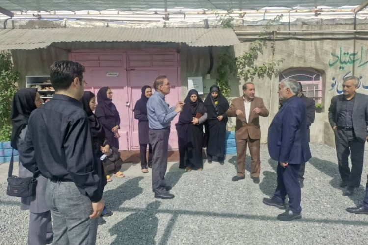 بازدید مشترک شبکه بهداشت و درمان لنجان و اداره بهزیستی لنجان در جهت بیماریابی هپاتیتc از کمپ بانوان شهرستان لنجان