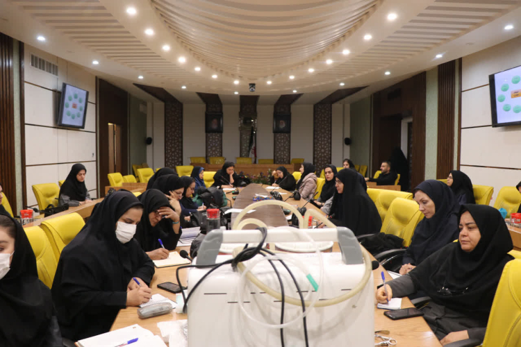 برگزاری کارگاه آموزشی کنترل عفونت و استریلیزاسیون در مراکز خدمات جامع سلامت