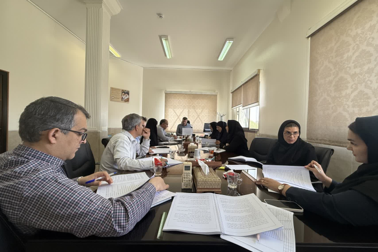 جلسه هم اندیشی در خصوص بررسی نسخه ۰۳ برنامه پزشک خانواده و نظام ارجاع