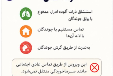 هانتا ویروس