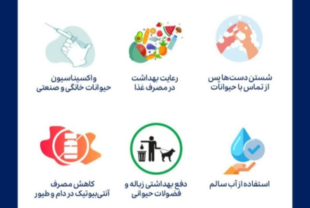 #زئونوز