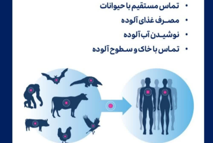 #زئونوز