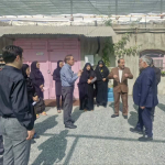 بازدید مشترک شبکه بهداشت و درمان لنجان و اداره بهزیستی لنجان در جهت بیماریابی هپاتیتc از کمپ بانوان شهرستان لنجان