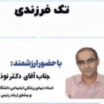 برگزاری وبینار آموزشی «مشکلات و پیامدهای تک‌فرزندی»  
