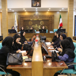 برگزاری کارگاه آموزشی مدیریت چاقی در بارداری و بازخوانی سناریوهای مرگ های مادری مرتبط